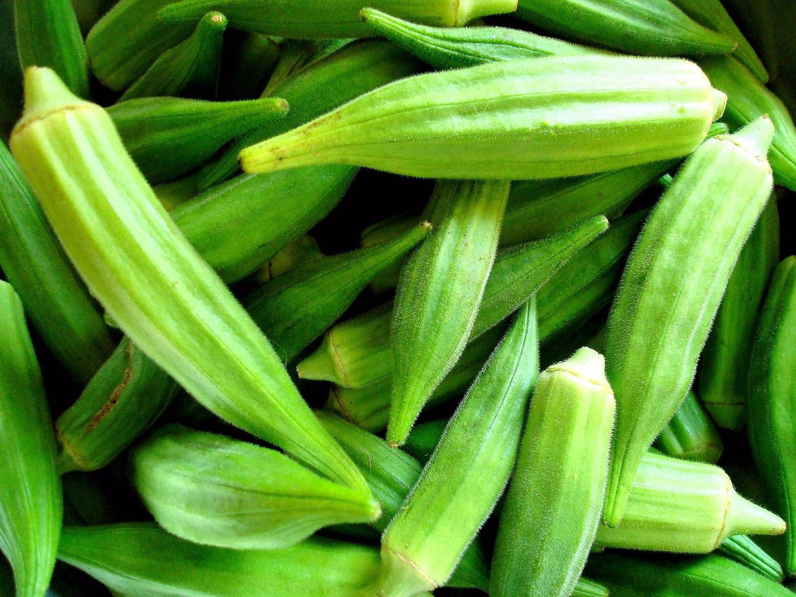 Seeds For Coffee Bamia Okra Lady's Finger Vegetable Etsy