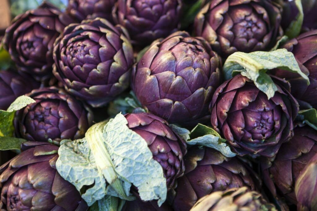 Seeds Artichoke Purple Romagna Heirloom Organic Vegetable Etsy