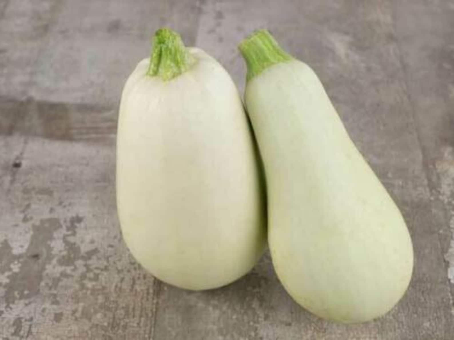 Seeds Squash Zucchini Beloplodny White Vegetable Organic Etsy