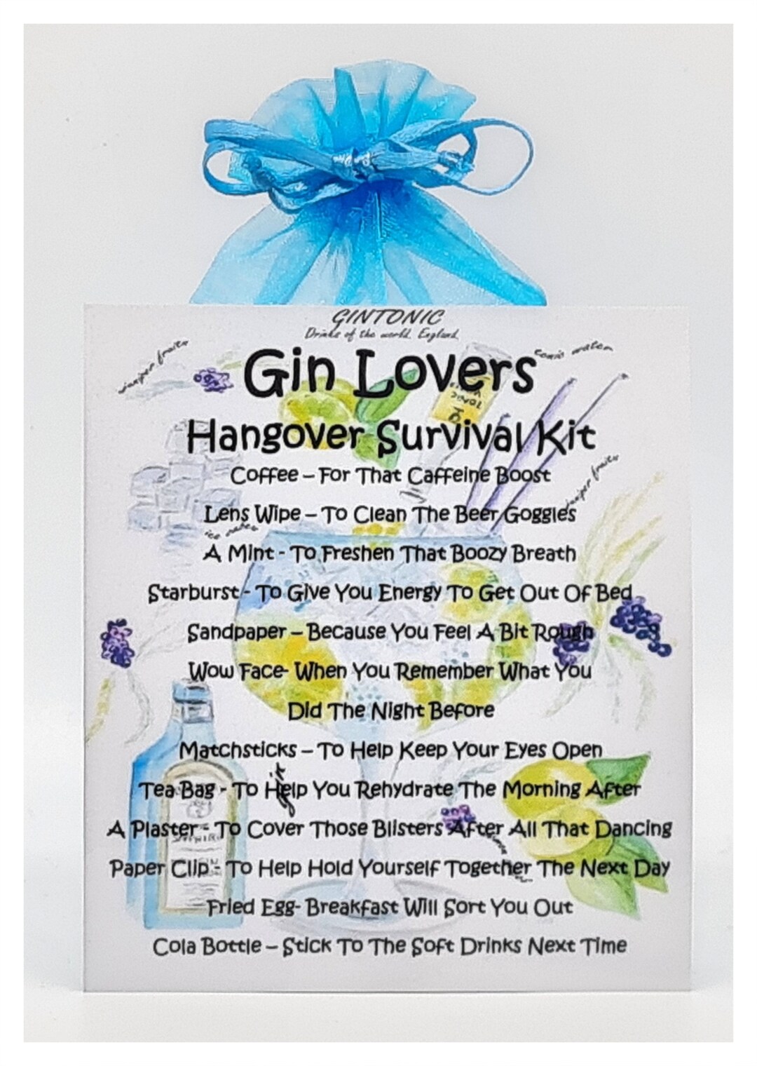 Gin Lover's Hangover Survival Kit Fun Novelty Gift & Etsy