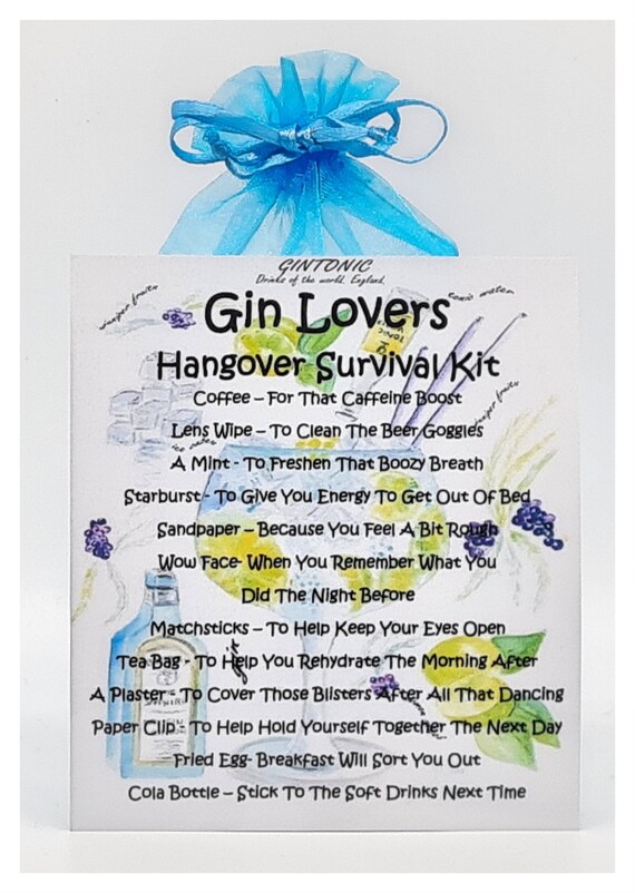 Gin Lover's Hangover Survival Kit Fun Novelty Gift & Etsy