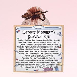 Kit di sopravvivenza per vicedirettore ~ Divertente regalo originale e alternativa al biglietto / Regalo di compleanno / Biglietti di auguri / Regalo personalizzato per un manager