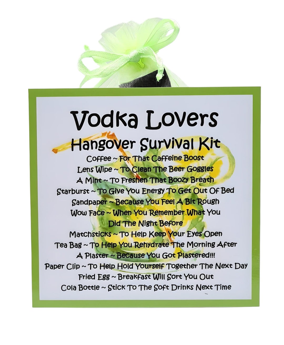 Vodka Lovers Hangover Survival Kit Fun Novelty Gift & Card Etsy UK
