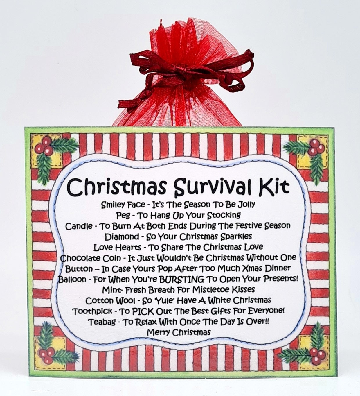 Christmas Survival Kit Fun Novelty Gift and Greetings Card Xmas