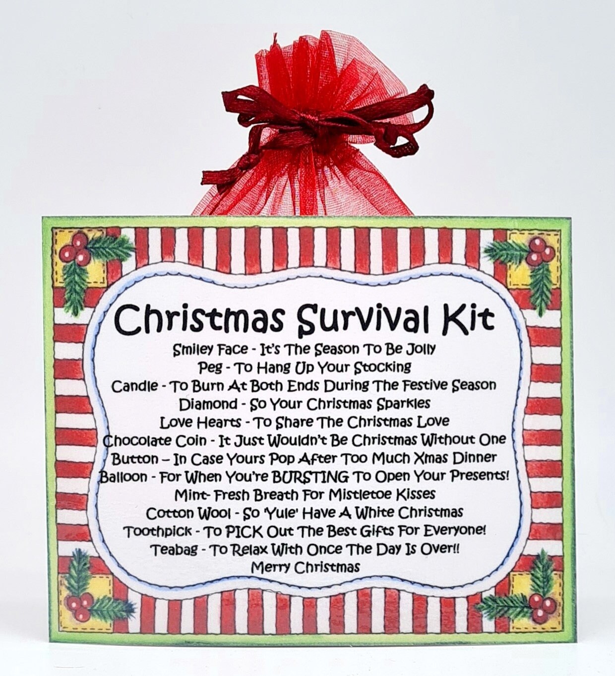 Christmas Survival Kit Fun Novelty Gift and Greetings Card Xmas Present  Greeting Cards Secret Santa Surviving Christmas 