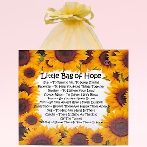 Bolsita de Esperanza ~ Tarjeta de felicitación y regalo único y novedoso con un toque sentimental / Recuerdo personalizado / Regalo de cumpleaños / Regalo para animar / Ten esperanza