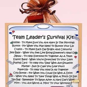 Team Leader Survival Kit ~ Fun Novelty Gift & Card Alternative | Birthday Present | Greeting Cards | Personalised Team Leader Gift