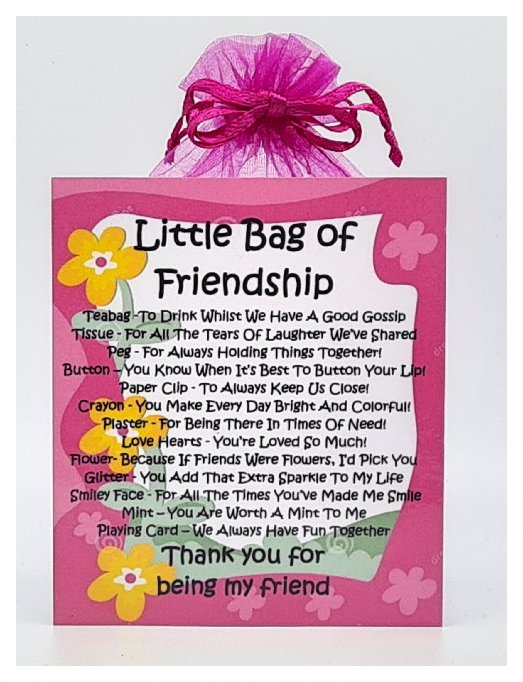 Little Bag of Friendship Unique Fun Novelty Gift & Greetings Etsy