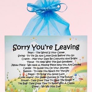 Sorry You’re Leaving Survival Kit NEW ~ Fun Novelty Gift & Card | Good Luck | Goodbye Gift | Farewell Keepake | Personalised Leaving Gift