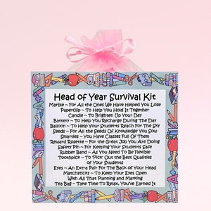 Kit di sopravvivenza per capodanno (rosa) ~ Divertente regalo e biglietto di auguri / regalo di compleanno / biglietti di auguri / regalo personalizzato per capodanno / ringraziamento