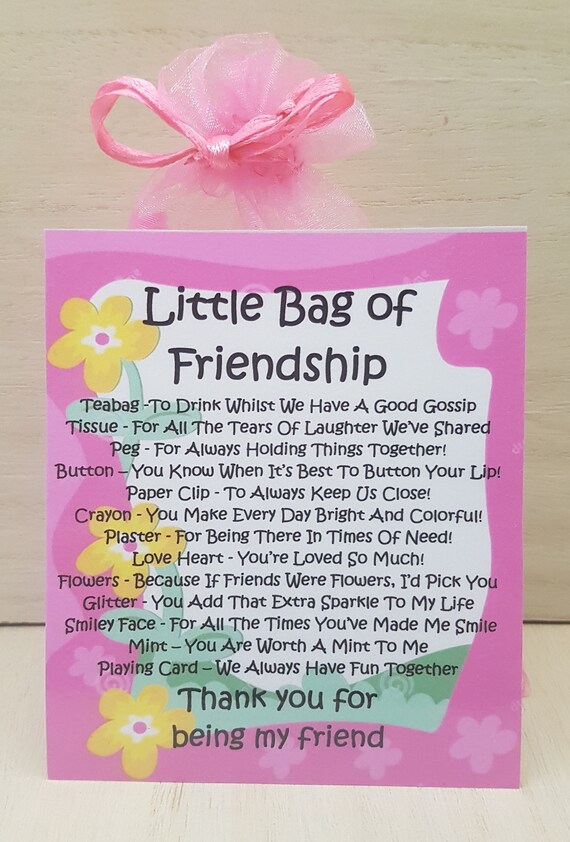 Little Bag of Friendship Unique Fun Novelty Gift & Greetings Etsy