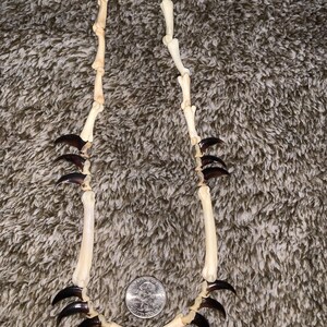 fox claws fox foot bone fox paw bone skeleton necklace 19 inch .