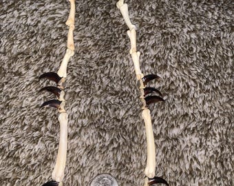 キツネの爪、キツネの足の骨、キツネの足の骨のスケルトンネックレス 19 インチ。