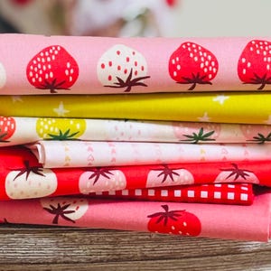 Strawberry Dreams | Fat quarters bundles 7 fabrics | AGF RBD | Ruby star Kimberly Kight