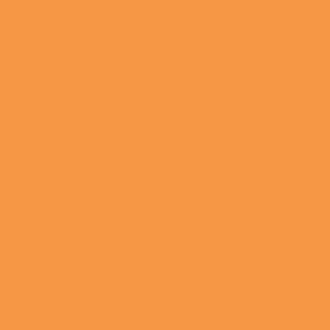 May include: Solid orange background. The image is a flat, uniform color with no variations or patterns. The color is a warm, inviting shade of orange.