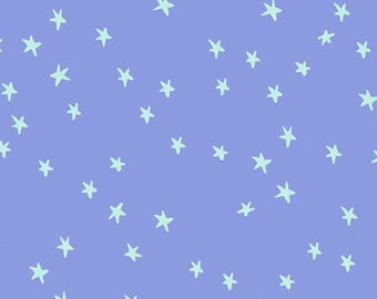 Starry dusk  RS4109 57 Ruby Star society | In stock - Blender light blue stars on blue - Alexia Abegg
