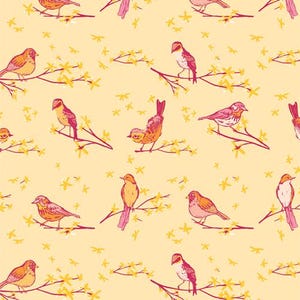 Marigold in stock - The Dawn Chorus Sunset | Maureen Cracknell | MRG55302 | AGF