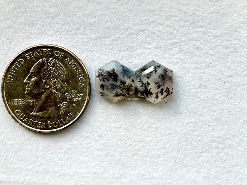 May include: Two hexagonal, clear, white, and gray agate cabochons with black dendritic inclusions. The cabochons are approximately the size of a US quarter.
