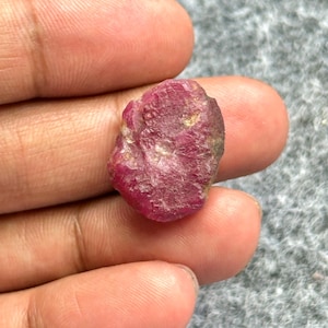 May include: A rough, uncut ruby gemstone, showcasing a deep red hue with natural textures and slight variations in color. The ruby is held in a hand, highlighting its size and shape. This raw gemstone is a natural mineral.