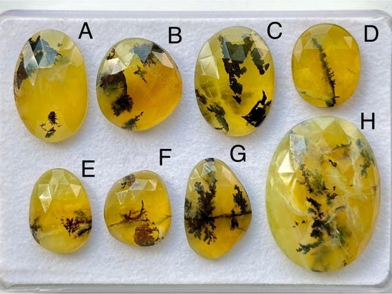 Natural Dendritic Agate Rose cut Stone, Scenic Agate Gemstone, Yellow Dendritic Agate Loose Gemstone Lot, Faceted Dendrite Gemstone Jewelry