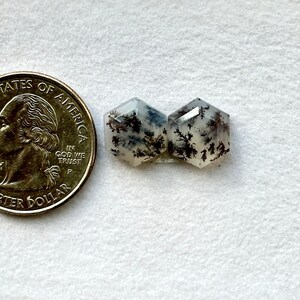 May include: Two hexagonal, clear, white, and gray agate cabochons with black dendritic inclusions. The cabochons are approximately the size of a US quarter.