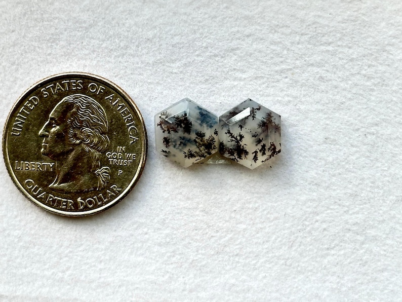 May include: Two hexagonal, clear, white, and gray agate cabochons with black dendritic inclusions. The cabochons are approximately the size of a US quarter.