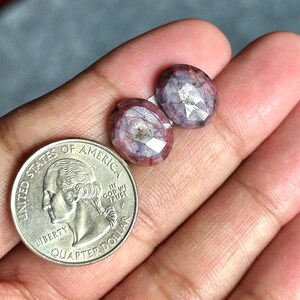 Op de afbeelding: Twee ovale edelstenen met een facetgeslepen vorm. De edelstenen zijn een mix van roze, paars en grijs. De edelstenen worden in een hand gehouden, met een Amerikaanse kwart dollar munt als maatstaf.