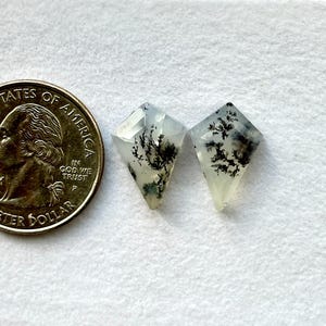 May include: Two white dendritic agate cabochons with black dendrites in a diamond shape. The cabochons are about the size of a US quarter.
