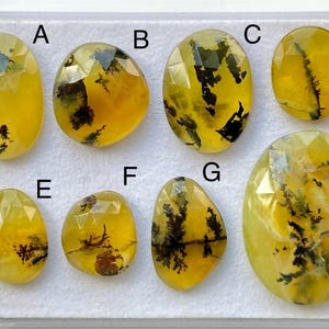 May include: Eight yellow and green dendritic opal cabochons, labeled A through H, are displayed on a white background. The cabochons are various shapes and sizes.