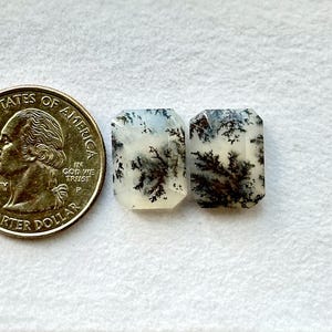 May include: Two white and black dendritic agate cabochons with a rectangular shape. The cabochons are approximately 1 inch in length and 1/2 inch in width.