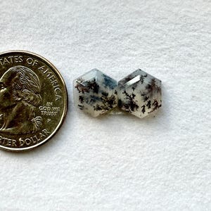 May include: Two hexagonal, clear, white, and gray agate cabochons with black dendritic inclusions. The cabochons are approximately the size of a US quarter.