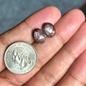 Op de afbeelding: Twee ovale, gefacetteerde edelstenen met een roodbruine kleur en een glinsterende, iriserende afwerking. De stenen zijn ongeveer zo groot als een Amerikaanse kwart.