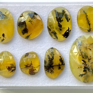 May include: Eight yellow and green dendritic agate cabochons with a faceted cut. The cabochons are arranged in a row on a white background.