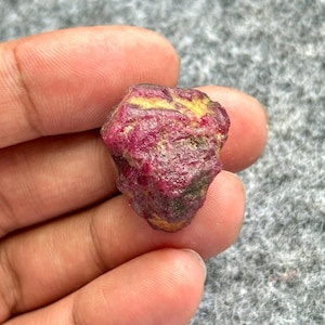 Peut inclure: Une pierre précieuse de rubis brute, non taillée, d'un rouge profond, avec des stries jaunes et des touches de vert. La pierre naturelle est tenue dans une main, révélant sa surface brute et texturée. Spécimen minéral naturel.