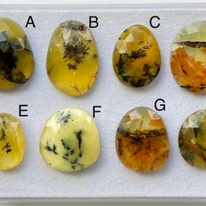 May include: Eight yellow, green, and orange dendritic agate cabochons, labeled A through H, are displayed on a white background. The cabochons are all oval-shaped and have a variety of patterns and colors.