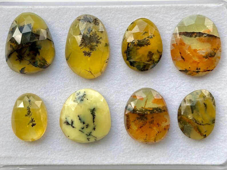 May include: Eight faceted, oval-shaped, dendritic agate cabochons in various shades of yellow, green, and orange. The stones have a unique, natural pattern of dendrites, which resemble branches or trees.