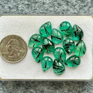 Op de afbeelding: Een verzameling van twaalf traanvormige groene edelstenen met zwarte naaldachtige insluitingen, gerangschikt naast een Amerikaanse kwartmunt voor schaal. Elke steen heeft een glad, gepolijst oppervlak en een patroon van donkere strepen.