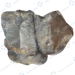 Full Animal Baby Goat Skins Natural Finish for All Types of Drums | Frame Drums | Shaman Drums