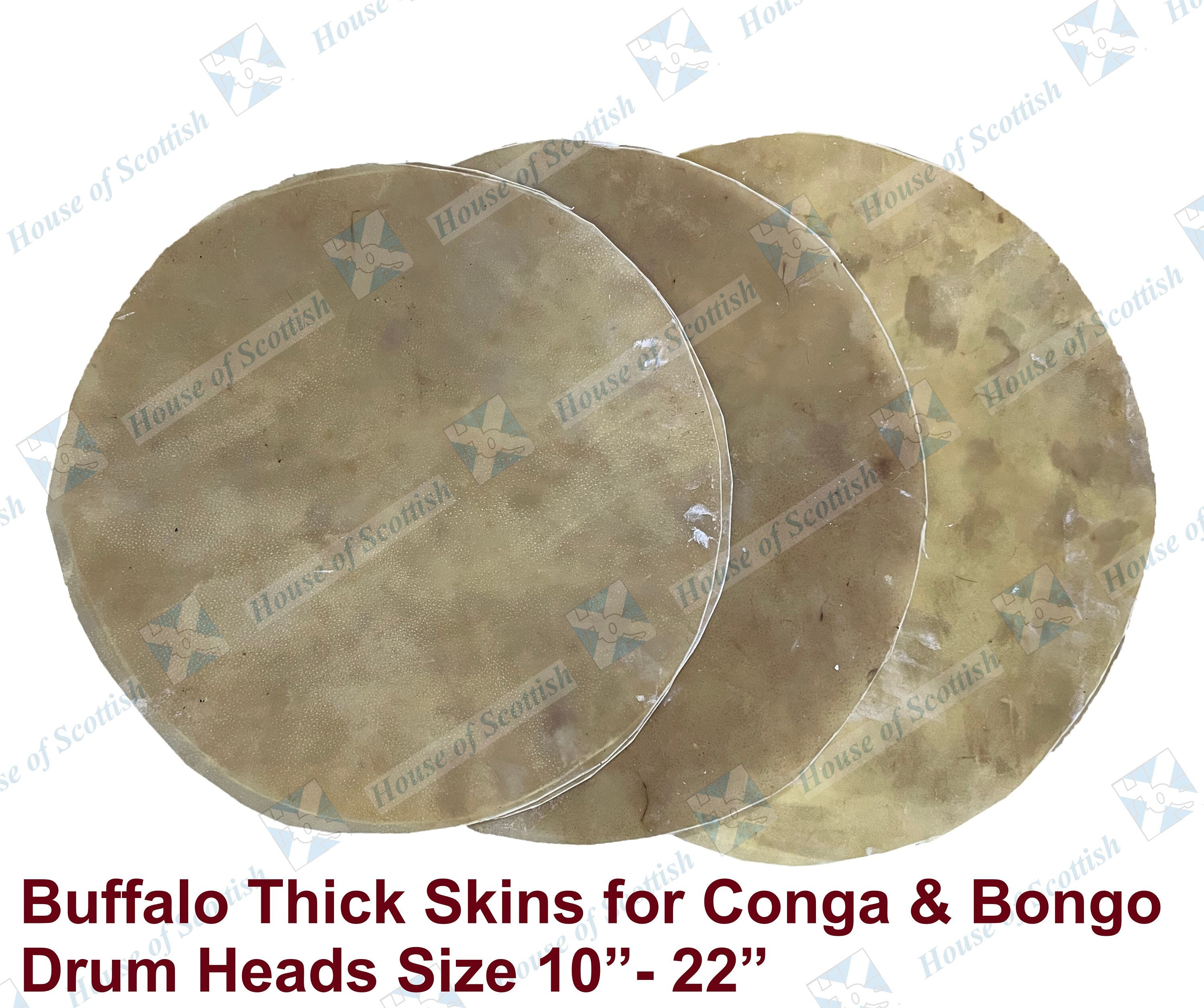 Bongo drum skins online
