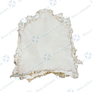 May include: A white leather hide with a rough, irregular edge. The hide is slightly wrinkled and has a few small brown spots.
