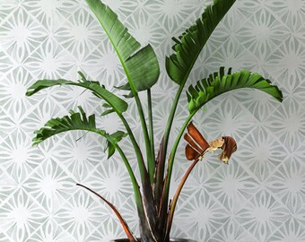 Moroccan Wallpaper. Seafoam Color. Green. Modern. Removable Peel + Stick and Traditional Wallpaper Options.  Multiple Colors Available.*