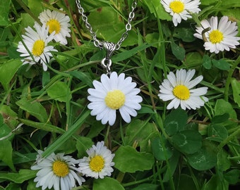 Halskette mit Gänseblümchen / Gänseblume / Blumenkette / ResinAnhänger weiße Blüte / kurze Edelstahlkette / romantische Geschenkidee