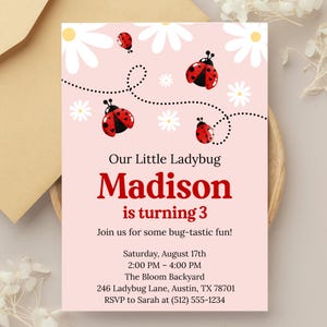 Ladybug Birthday Invitation, Ladybug Party, Ladybug Birthday Invite, Ladybug Party Invitation, Our Little Ladybug, Daisy Flower Invite, Pink