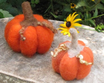 Needle Felted Pumpkin Kit