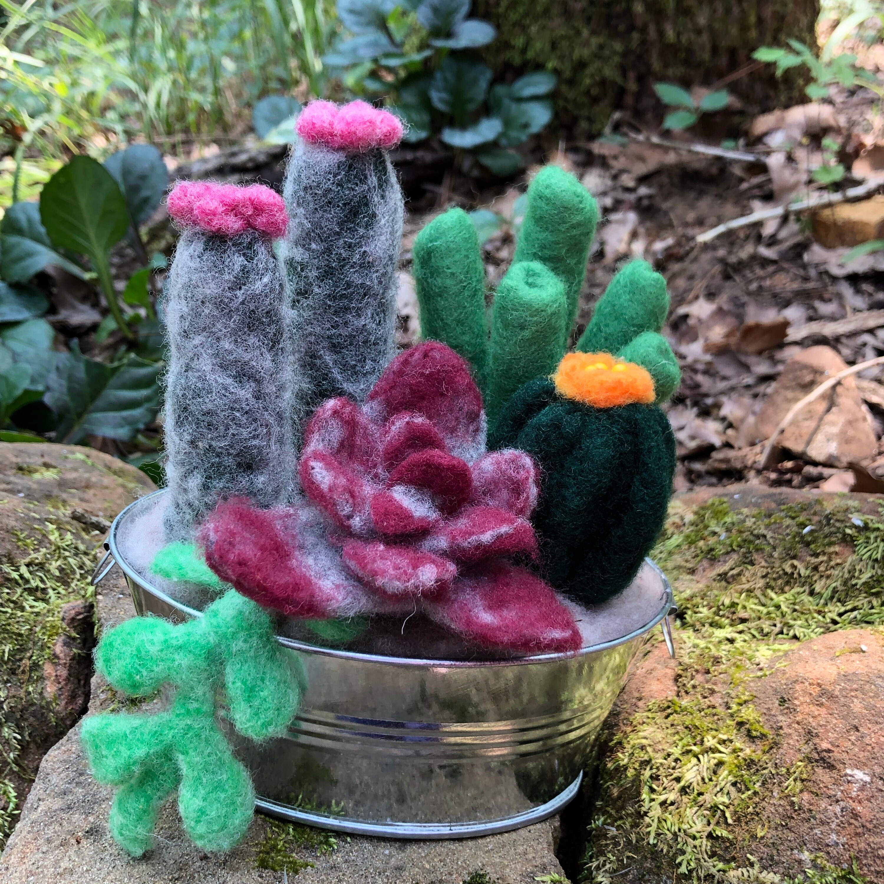 Needle felted succulent garden Etsy