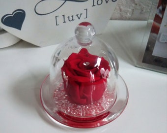 Cloche en verre avec rose  éternelle rouge ou rose et strass fête des mères Grand mères cadeau femme