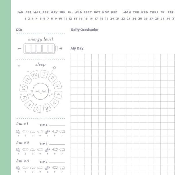 Gut Health Food Intolerance Tracker / Gut Healing Daily Page / Planner Pages PDF Printable / Chronic Illness / Food and Lifestyle Tracker