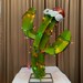 Merry Christmas Tilted Cactus with Decorative Lights - Garden Art 