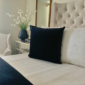 Black Beauty pillow cover