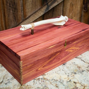 Large - Eastern Red Cedar Wood Ceremony Feather Box W/ Deer Bone Handle & Aromatic Smoked Leather Bottom